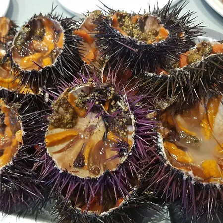 Διαμέρισμα 1008 Mileni 2 - Apivend Immo Ρόζες