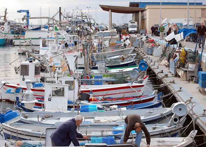 1008 Mileni 2 - Apivend Immo *